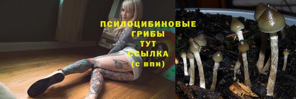 MESCALINE Арсеньев