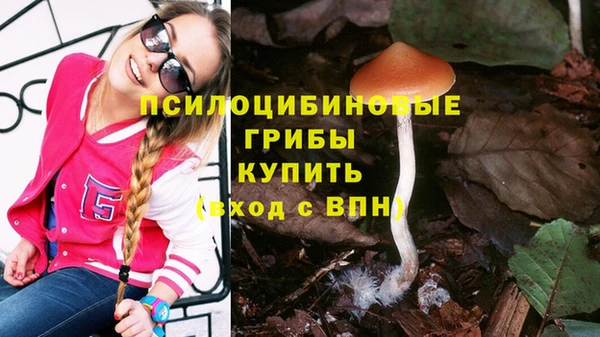 твердый Армянск