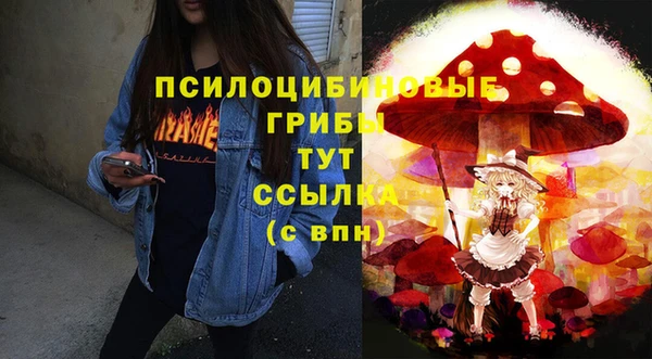 твердый Армянск