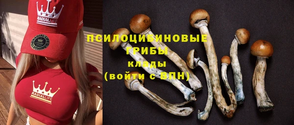 MESCALINE Арсеньев