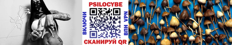 Псилоцибиновые грибы Cubensis  ссылка на мегу зеркало  Армянск 